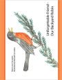 Unforgettable Friend - Our Backyard Robin