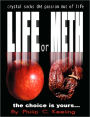 Life or Meth: A Book for Meth Users and Their Victims