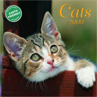 2009 Cats Mini Wall Calendar
