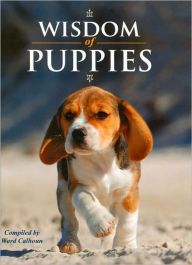 Wisdom of Puppies