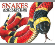 Snakes and Reptiles: The Scariest Cold-Blooded Creatures on Earth