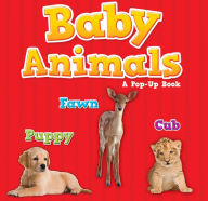 Baby Animals