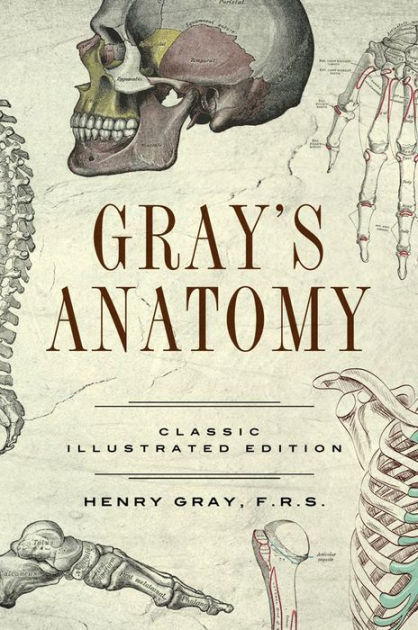 Gray's Anatomy: Classic Illustrated Edition by Henry Gray, Hardcover
