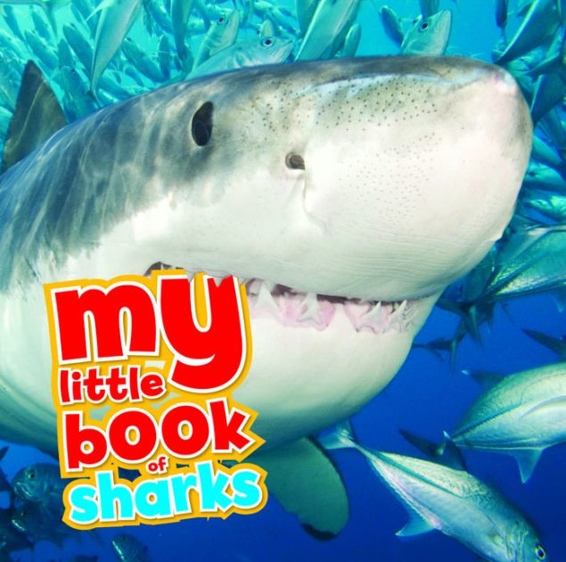 My Little Book of Sharks by QED Publishing, Hardcover | Barnes & Noble®