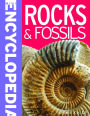 Rocks and Fossils (Mini Encyclopedias Series)