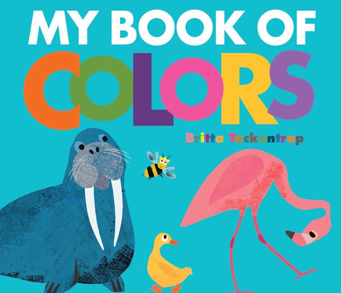 My Book of Colors by Britta Teckentrup, Board Book Barnes & Noble®