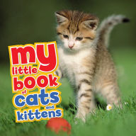 Title: My Little Book of Cats and Kittens, Author: QED Publishing