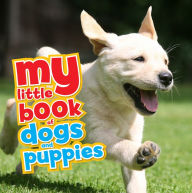 Title: My Little Book of Dogs and Puppies, Author: QED Publishing