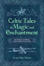 Celtic Tales of Magic and Enchantment: Mythical Stories from Irish Folklore