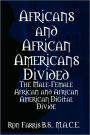 Africans And African Americans Divided