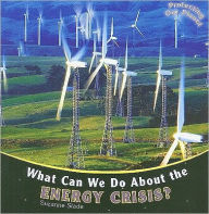 What Can We Do About the Energy Crisis?