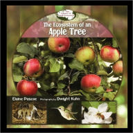 Ecosystem Of An Apple Tree
