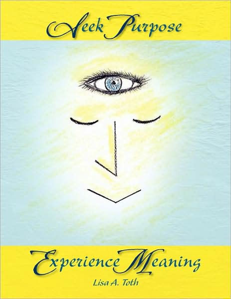 seek-purpose-experience-meaning-by-lisa-a-toth-paperback-barnes