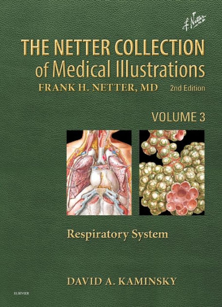 David　9781437705744　Volume　A.　Noble®　Medical　Collection　of　Hardcover　System:　by　Illustrations:　Kaminsky　Respiratory　Barnes　Edition　MD　The　Netter