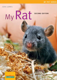 My Rat
