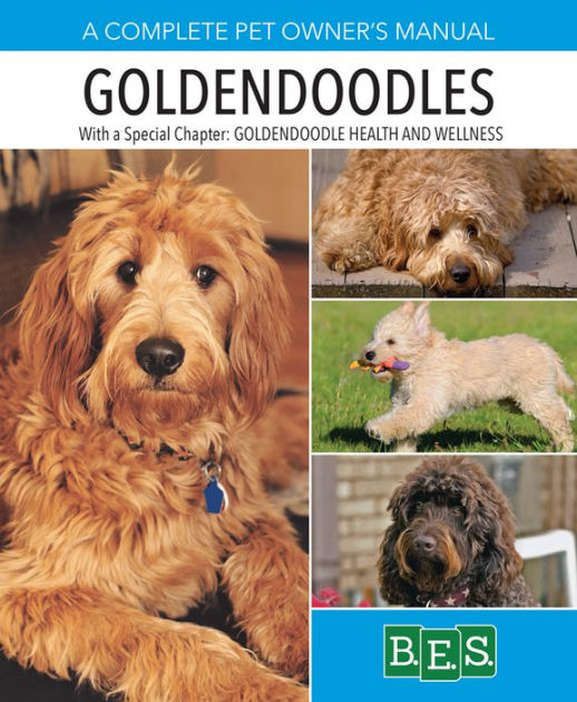 how intelligent is a goldendoodle