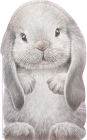 Furry Bunny