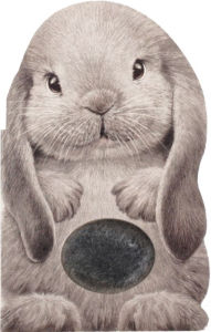 Title: Furry Bunny, Author: Annie Auerbach