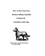 How To Start Your Own Business Selling Collectible Products Of Australian Cattle Dogs