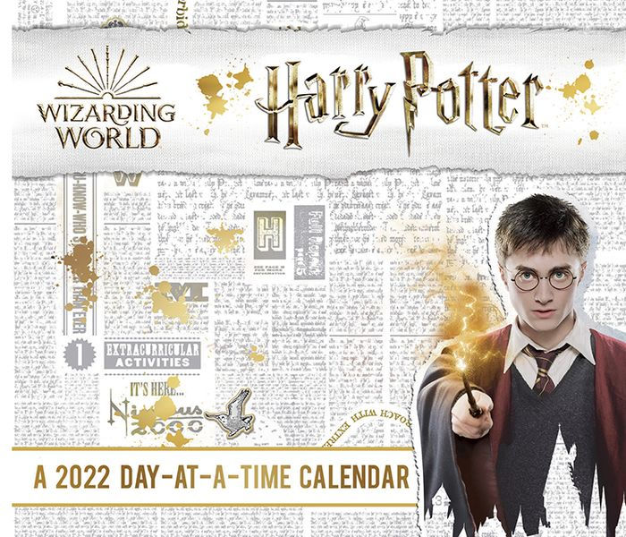 Harry potter 2022