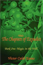 Vee's The Chapters Of Expudict