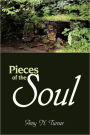 Pieces Of The Soul