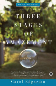 Three Stages of Amazement