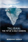 Taliban: the Tip of a Holy Iceberg