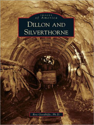 Title: Dillon and Silverthorne, Author: Roy Goodliffe