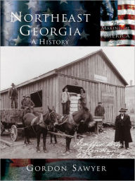 Title: Northeast Georgia: A History, Author: Gordon Sawyer