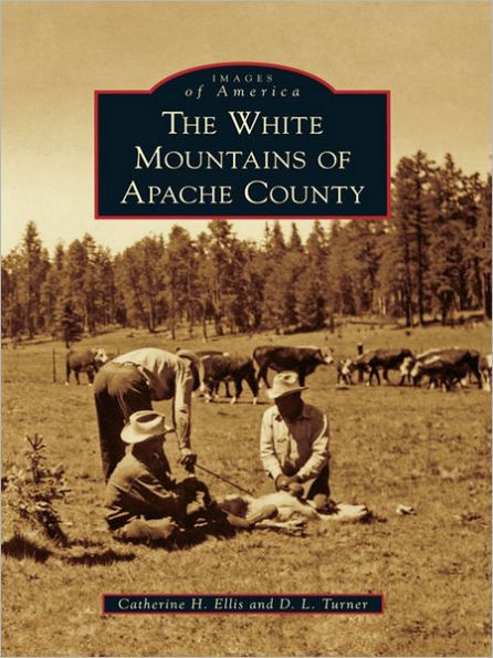 The White Mountains of Apache County