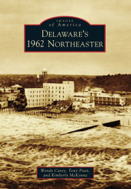 Title: Delaware's 1962 Northeaster, Author: Wendy Carey