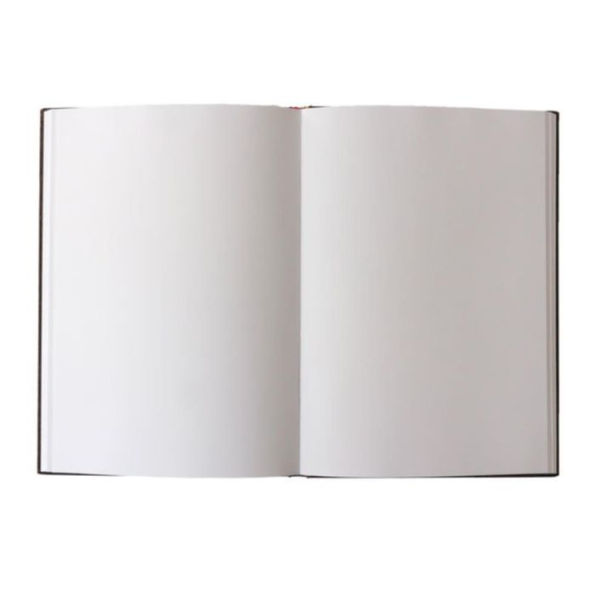 Paperblanks Van Gogh's Irises Sketchbook Grande Elastic Band Closure 112 Pg 200 GSM