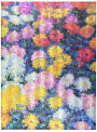 Alternative view 4 of Monet's Chrysanthemums Puzzle 1000 piece