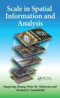 Scale in Spatial Information and Analysis / Edition 1