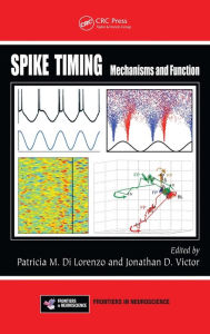 Spike Timing: Mechanisms and Function