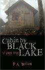Cabin By Black Lake