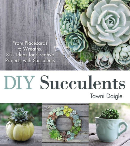 DIY Succulents: From Placecards to Wreaths, 35+ Ideas for Creative Projects with Succulents