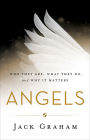 Angels: Who They Are, What They Do, and Why It Matters