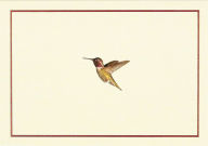 Title: Hummingbird Flight Note Cards (Stationery, Boxed Cards)