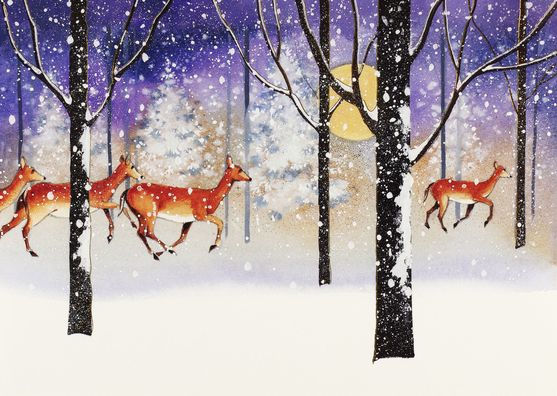 Deer in Snowfall Deluxe Boxed Holiday Cards