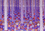 Purple Forest Note Cards