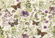 Title: Amethyst Butterflies Note Cards, Author: Peter Pauper Press Inc.