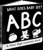 What Does Baby See? ABC: A First High-Contrast Board Book