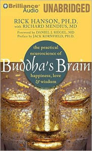 Buddha's Brain: The Practical Neuroscience of Happiness, Love and Wisdom