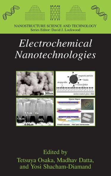 Electrochemical Nanotechnologies / Edition 1