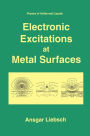 Electronic Excitations at Metal Surfaces / Edition 1