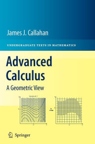 Title: Advanced Calculus: A Geometric View / Edition 1, Author: James J. Callahan