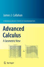 Advanced Calculus: A Geometric View / Edition 1