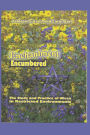 Enchantment Encumbered: the Study and Practice of Wicca in Restricted Environments